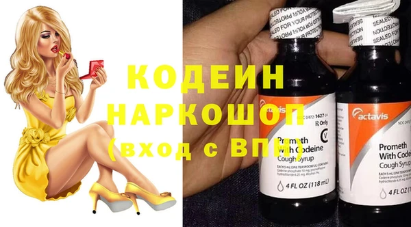 трава Карпинск