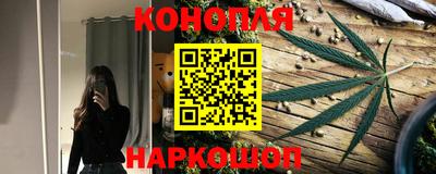 прущие грибы Кимры