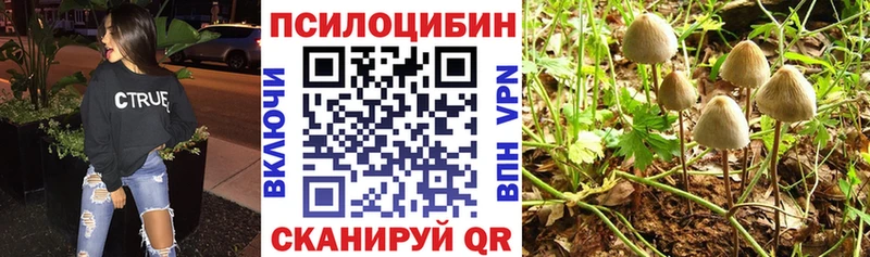 как найти закладки  Кропоткин  Псилоцибиновые грибы мухоморы 