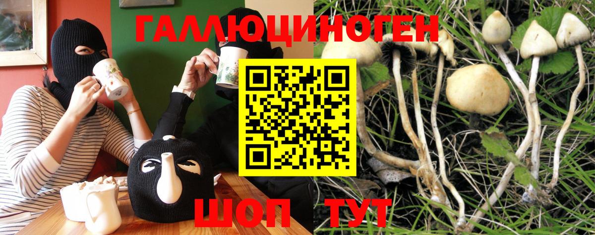 Галлюциногенные грибы Psilocybe  Вход с VPN  Кропоткин 