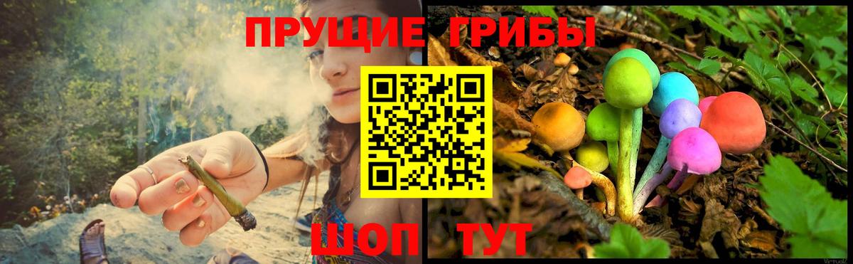 Псилоцибиновые грибы GOLDEN TEACHER Кропоткин